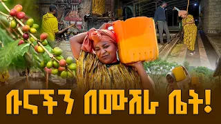 ውሎአዳር በአጋሮ ቡና ማጠቢያ ፤ |ከቅሽር ቡና እሰከ ገለፈቱ