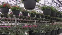 Spring planting in Minnesota: When to start