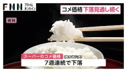 コメ価格3ヵ月見通しは値下がりの見方優勢 「在庫増え業者間売り渡しも停滞」の指摘も スーパー価格も7週連続下落(2026年04月06日) コメ価格3ヵ月見通しは値下がりの見方優勢 「在庫増え業者間売り渡しも停滞」の指摘も スーパー価格も7週連続下落(2026年04月06日)