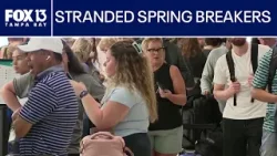 Более 400 рейсов отменены в аэропорту Тампа: хаос с поездками на весенние каникулы.