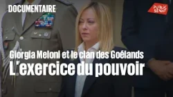 Giorgia Meloni and the Seagulls' Clan - The Exercise of Power (2/2)