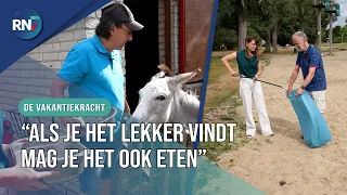Helping out at Holiday Park 't Broeckhuys || THE VACATION WORKER #02
