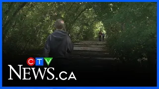 The Great Canadian Hike 2