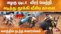'அழகு புடிடா..வீரர் வெற்றி..' அடித்து தூக்கி வீசிய காளை - களத்தில் நடந்த சுவாரஸ்யம்..