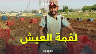 "I miss my children".. Under the scorching sun.. Rachid defies exhaustion and heat to earn his li...