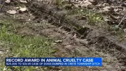 Reward grows to $25,000 in investigation of 6 slain dogs found dumped in Will County