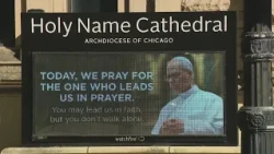 Pope Leo XIV diagnosed with lung cancer after surgery to remove part of right lung