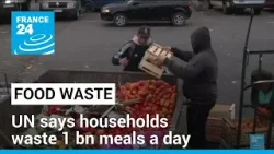 'Just staggering': UN says households waste 1 bn meals a day • FRANCE 24 English