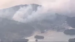 Waldbrände in Japan: 2600 Hektar verbrannt