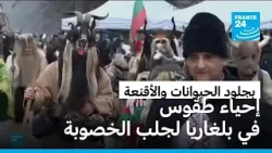 لجلب الخصوبة وطرد الأرواح الشريرة.. إحياء طقوس قديمة في بلغاريا بجلود الحيوانات والأقنعة