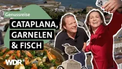 Faro: portugiesische Küche, Natur und echte Algarve-Geheimtipps | Grenzenlos köstlich | WDR