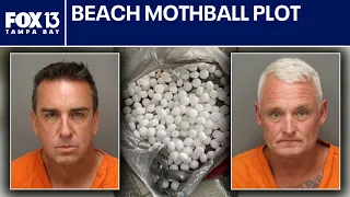 Business owners accused in St. Pete Beach mothball scheme