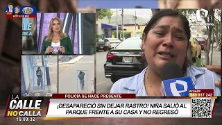 Mother desperately searching for her daughter: she went to the park and never returned