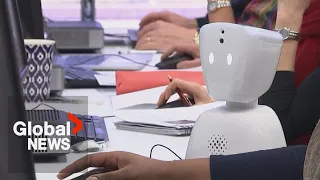 Students prepare for AI-powered job market as fears over future careers grow