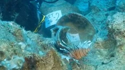 Türkiye kıyılarında dünyanın en eski gemi batığı keşfedildi