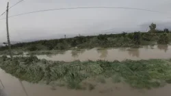 LA SIBARITIDE INVASA DALL'ACQUA DEL CRATI