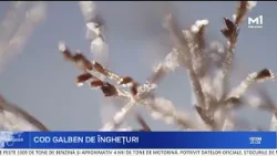 Cod galben de înghețuri: Până la -3 grade Celsius pe 9, 10 și 12 aprilie