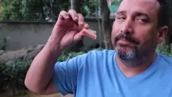 ❄️? ¡DEL CAOS CLIMÁTICO A LA EMERGENCIA SANITARIA! ❄️? ¡DEL CAOS CLIMÁTICO A LA EMERGENCIA SANITARIA!