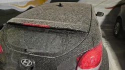 Chicago's new weather record, 'dirty rain,' and a surprise shark! | The Forecasters