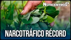 Escándalo mundial: producción de cocaína en Colombia crece 34 % | Canal 1 | Noticentro Escándalo mundial: producción de cocaína en Colombia crece 34 % | Canal 1 | Noticentro