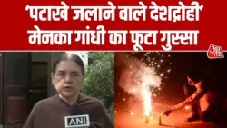 Maneka Gandhi ने पटाखों को माना प्रदूषण का कारण, कहा 'Diwali के दिन लोग पटाखे जलाते हैं,  हम सांस...
