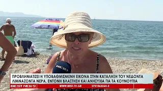 Λιμνάζοντα νερά, έντονη βλάστηση  Προβληματίζει η υποβαθμισμένη εικόνα στην κατάληξη του Νέδοντα