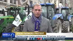 Spanish farmers stage tractor protests over EU policies and prices