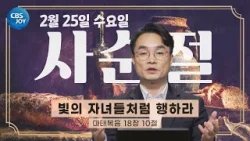 [2026 사순절 묵상] 제7일 "빛의 자녀들처럼 행하라" l 마태복음 18:10
