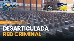 Cae una macrored que ocultaba cocaína en contenedores de comida y madera