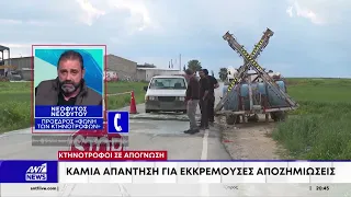 Υπουργός Γεωργίας στον ΑΝΤ1: Απαντά για τις αποζημιώσεις των κτηνοτρόφων