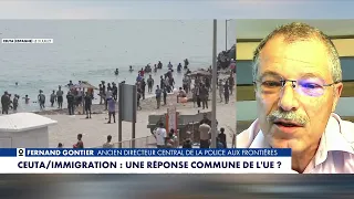 Fernand Gontier: "Our differences within the EU are fueling immigration"
