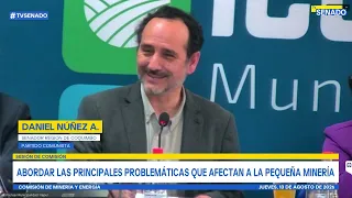 Comisión de Minería y Energia - 13 de agosto de 2026