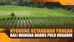 SUPPORTING FOOD SECURITY, MAKING BALI AN ORGANIC ISLAND