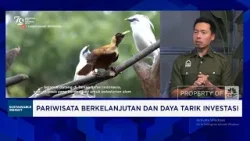 Bikin Ekowisata Jadi Penggerak Ekonomi & Serap Tenaga Kerja, RI Harus Apa?