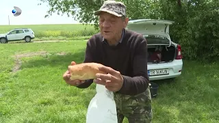 This is Romania (07/26/2026) - More expensive, less product, tougher times! How much longer can R...