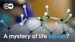 Why this Chemistry Nobel matters for modern medicine | DW News