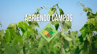 Abriendo Campos - 9 de julio de 2026 - 2ª Parte
