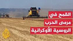 The Russia-Ukraine Wheat War Threatens Global Food Exports