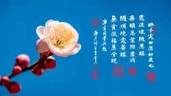 淨空老法師|大經專修|佛陀對我們的期望是什麼-第2202集 淨空老法師|大經專修|佛陀對我們的期望是什麼-第2202集