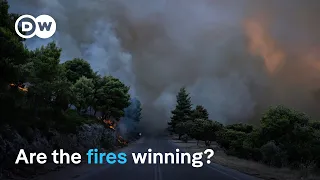 The alarming forecast for Europe's wildfires | DW Focus Insights