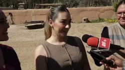 La Clínica Bienestar Animal en Hermosillo invita a participar en la esterilización de perros y gatos