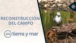 Tierra y mar | Reconstrucción del campo tras las lluvias y el desafío climático en la costa andaluza
