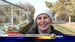 KÜLÖNLEGES TÉLI ÉLMÉNY A JÁSZBERÉNYI ÁLLATKERTBEN