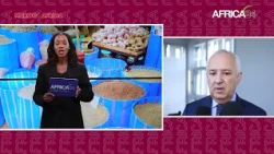 MAROC - AFRICA : Le leadership stratégique entre diplomatie globale et essor des affaires
