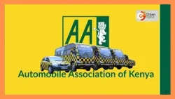 AA launches a redesigned International driving permit