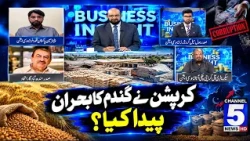 Corruption Ne Gandum Ka Buhran Paida Kiya ? | BUSINESS INSIGHT | Channel 5 News HD