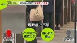 【銀座スプレー噴射事件】逃走していた中国籍の男を逮捕　“共犯者”の存在も新たに判明