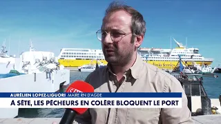 Aurélien Lopez-Liguori: "If nothing is done, Mediterranean fishing is at risk of disappearing"
