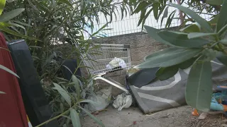 Carabanchel residents report deterioration of Emperatriz María de Austria Park: "There are cockro...