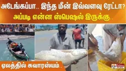 அடேங்கப்பா.. இந்த மீன் இவ்வளவு ரேட்டா? அப்படி என்ன ஸ்பெஷல் இருக்கு.. ஏலத்தில் சுவாரஸ்யம்..